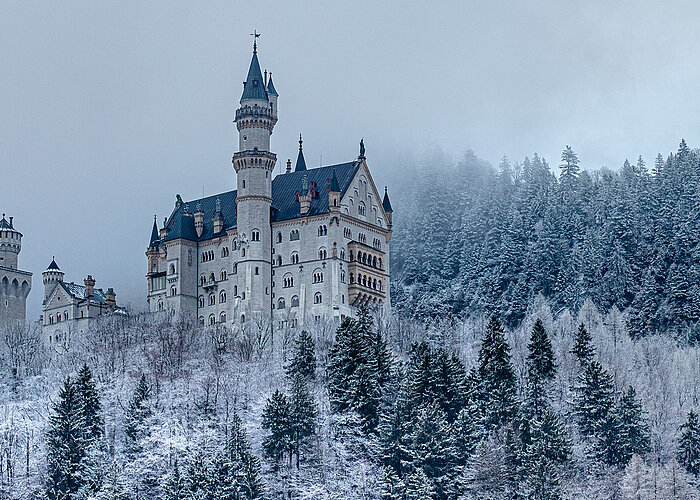 Schloss Neuschwanstein im Schnee