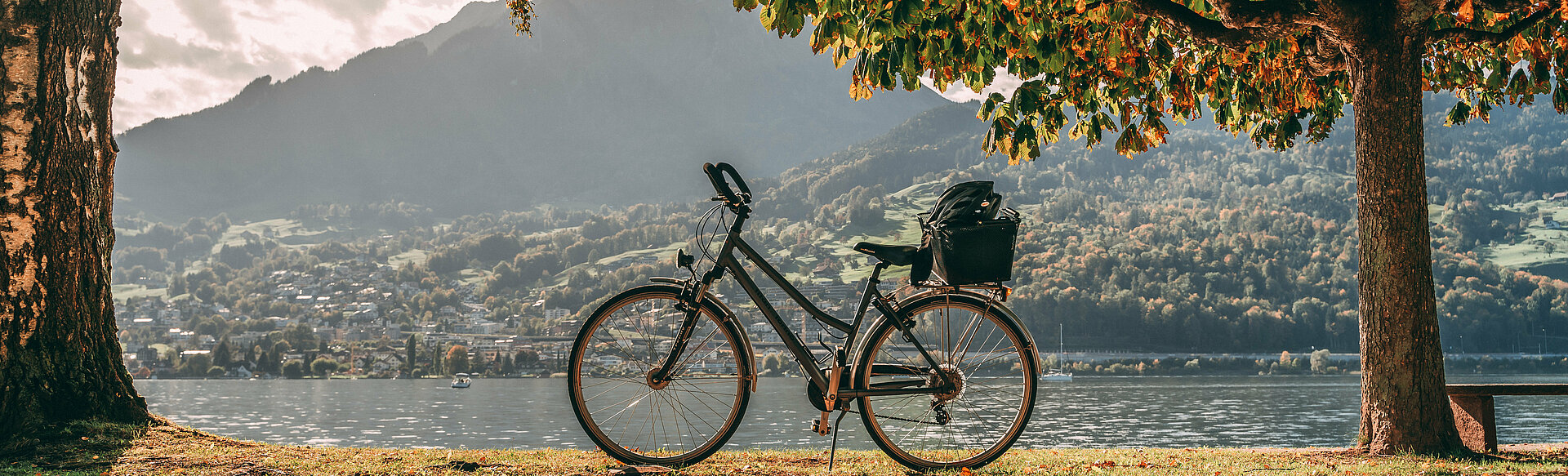Fahrrad im Herbst am Seeufer