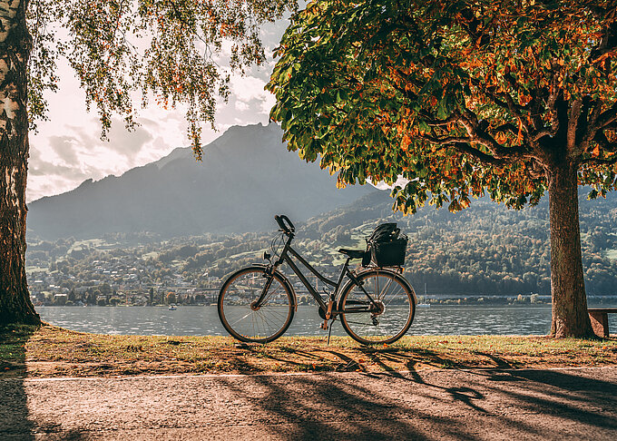 Fahrrad im Herbst am Seeufer