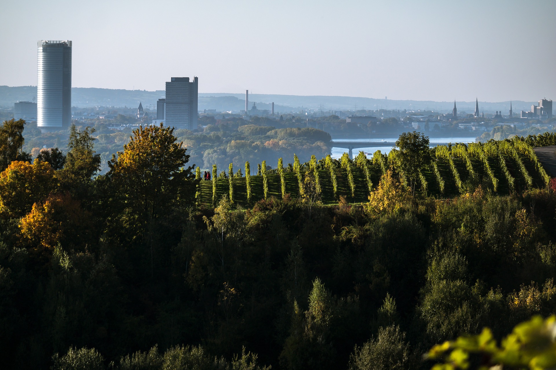 Blick auf Bonn
